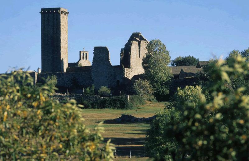Gites En Cevennes "Chez Steloune" Genolhac Exterior foto